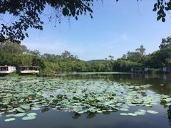 -老木棉·匠园