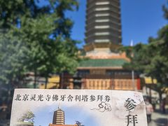 -八大处公园