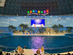 -泉城欧乐堡海洋极地世界