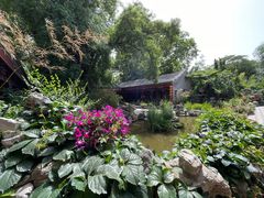 -白家大院·王府宫廷菜(苏州街店)
