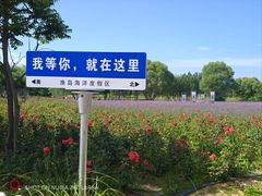 -渔岛海洋度假区
