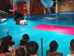 -烟台海昌鲸鲨海洋公园