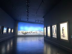 -罗红摄影艺术馆