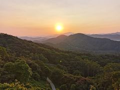 -黄埔油麻山森林公园