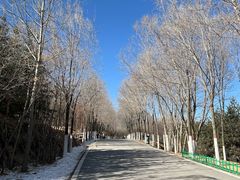 -青藏高原野生动物园