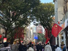 -越秀西湖花市(广州城市广场花卉店)