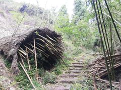 -雁荡山雁湖景区
