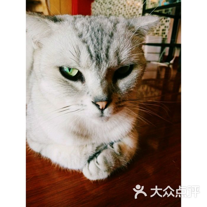 一罐白龙马上传的图片