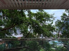 -香港大学