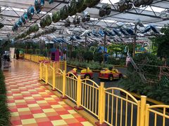 -南宫五洲植物乐园