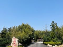 -清雅臻品·竹林院落·新派青岛菜(崂山店)