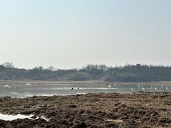 -鄱阳湖国家湿地公园