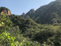 -大岭沟猕猴桃谷风景区