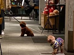 -星巴克(珠海仁恒滨海中心店)