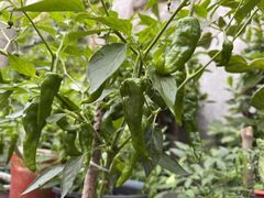 -StorHub 趣存自助仓·迷你仓(虹桥店)