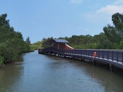 -东寨港红树林旅游区