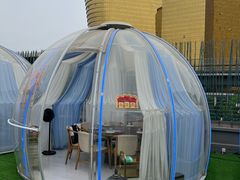 -南门四季铜锅涮肉(大屯·北苑店)