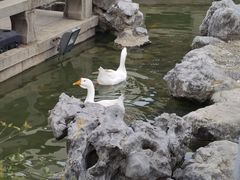 -祝家花園(伯渎港店)