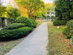 -上海崇明金茂凯悦酒店