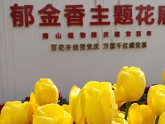 -南山植物园