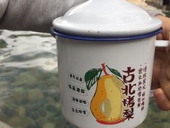 -古北烤梨