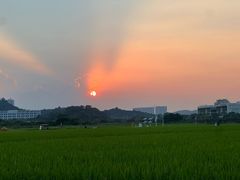 -光明小镇欢乐田园