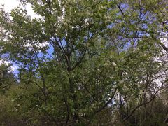 -长春公园(普阳街道)