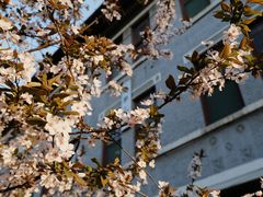 -山东大学(趵突泉校区)