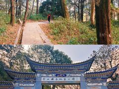 -寂照庵