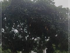 -印象泰和园(望丛西路店)