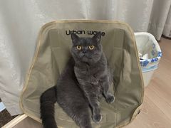 -pd派德宠物中心医院24H急重症·眼科中心·血液透析中心(嵩山北路店)