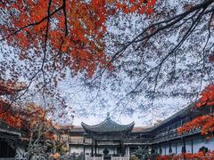 -何园