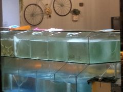 水产区-圆圆家私房美食(民权路店)
