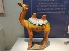 -镇江博物馆
