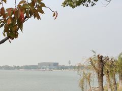 -漕湖湿地公园