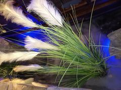 -绿茶餐厅(燕郊永旺店)