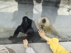 -太原动物园