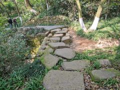 -杭州半山国家森林公园