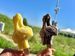-黑龙江扎龙生态旅游区