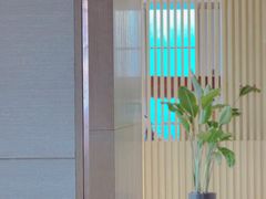 -嘉定凯悦·咖啡厅