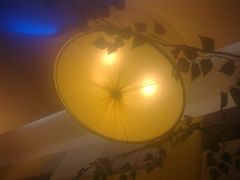 景观位-米斯特比萨(罗斯福店)