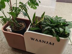 -Waanjai 晚嘉餐厅(南京商厦店)