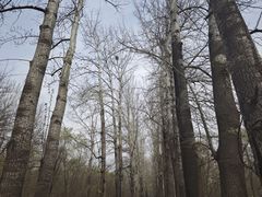 -廊坊市自然公园