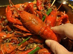 -馋嘴猫北京食堂·烤鸭·宵夜(亚运村店)