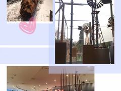 -墨尔本博物馆(Melbourne Museum)