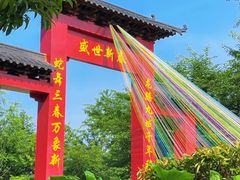 -南山植物园