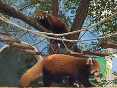 -鄂尔多斯野生动物园