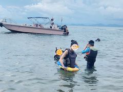 -广东惠东海龟国家级自然保护区
