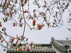 -北京丽晶酒店
