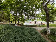 -番禺大夫山森林公园